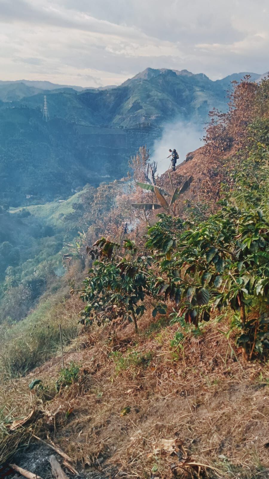 En Caldas se han presentado más de 10 incendios en el último mes