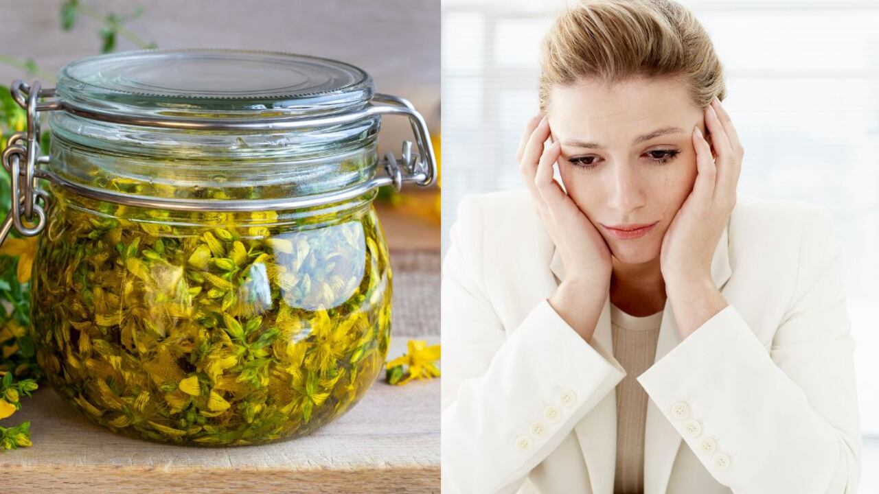 Esta es la hierba poco común que trata la depresión.