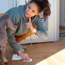 Foto referencia sobre educar perro.