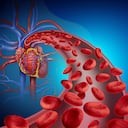 La alimentación es determinante para tener una buena circulación sanguínea.