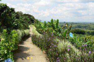 Los turísticas pueden preparar una taza de café desde cero y aprender sobre procesos ancestrales.