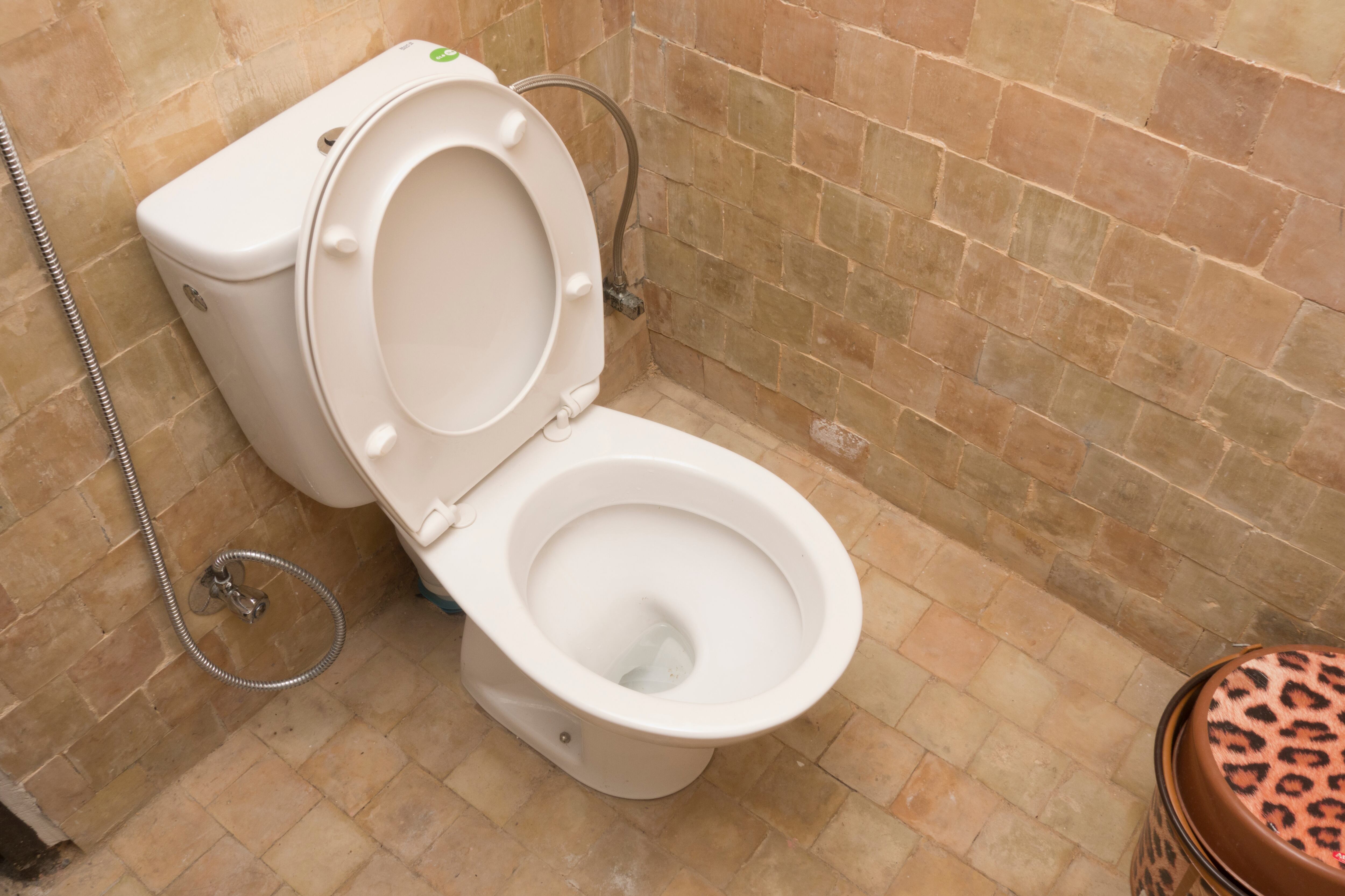 Inodoro en el baño.