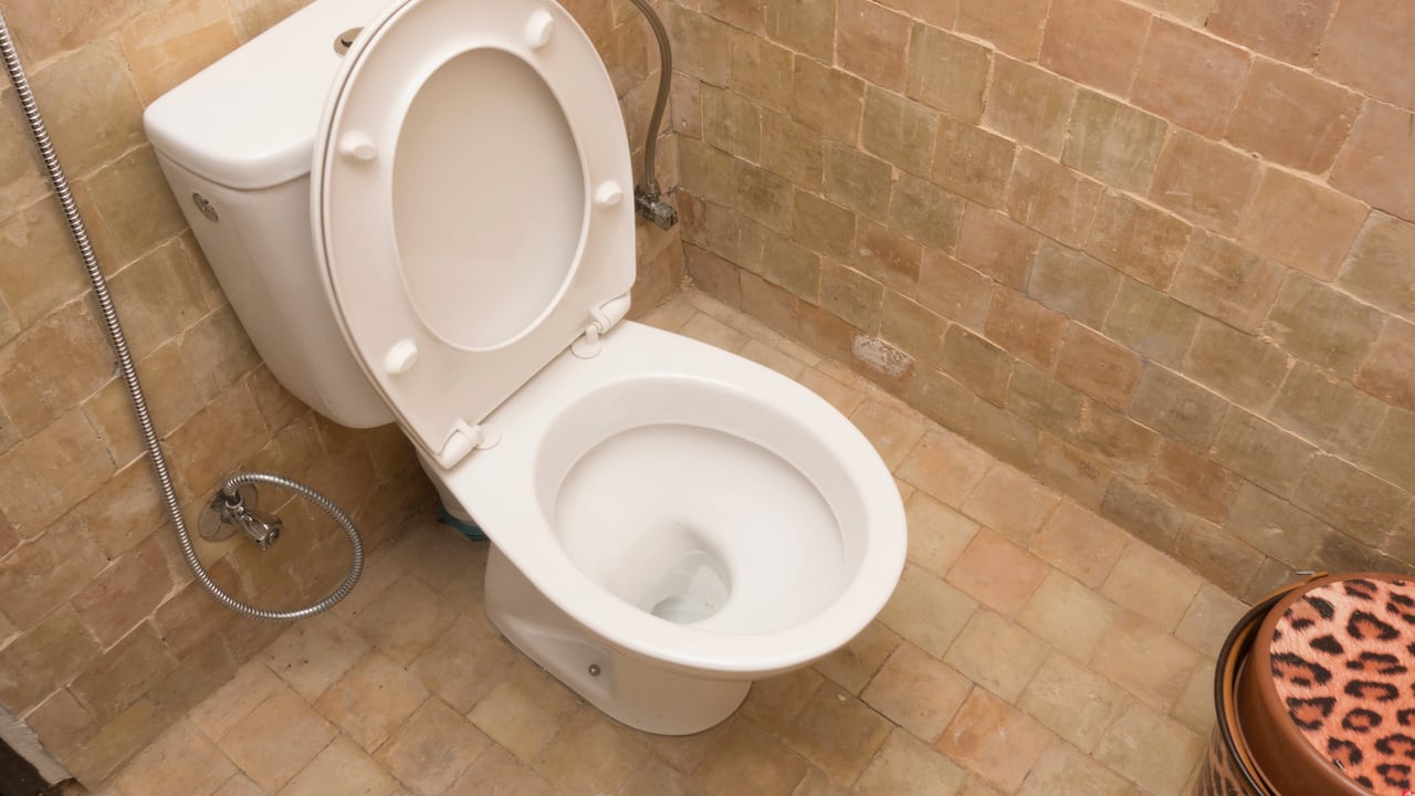 Inodoro en el baño.