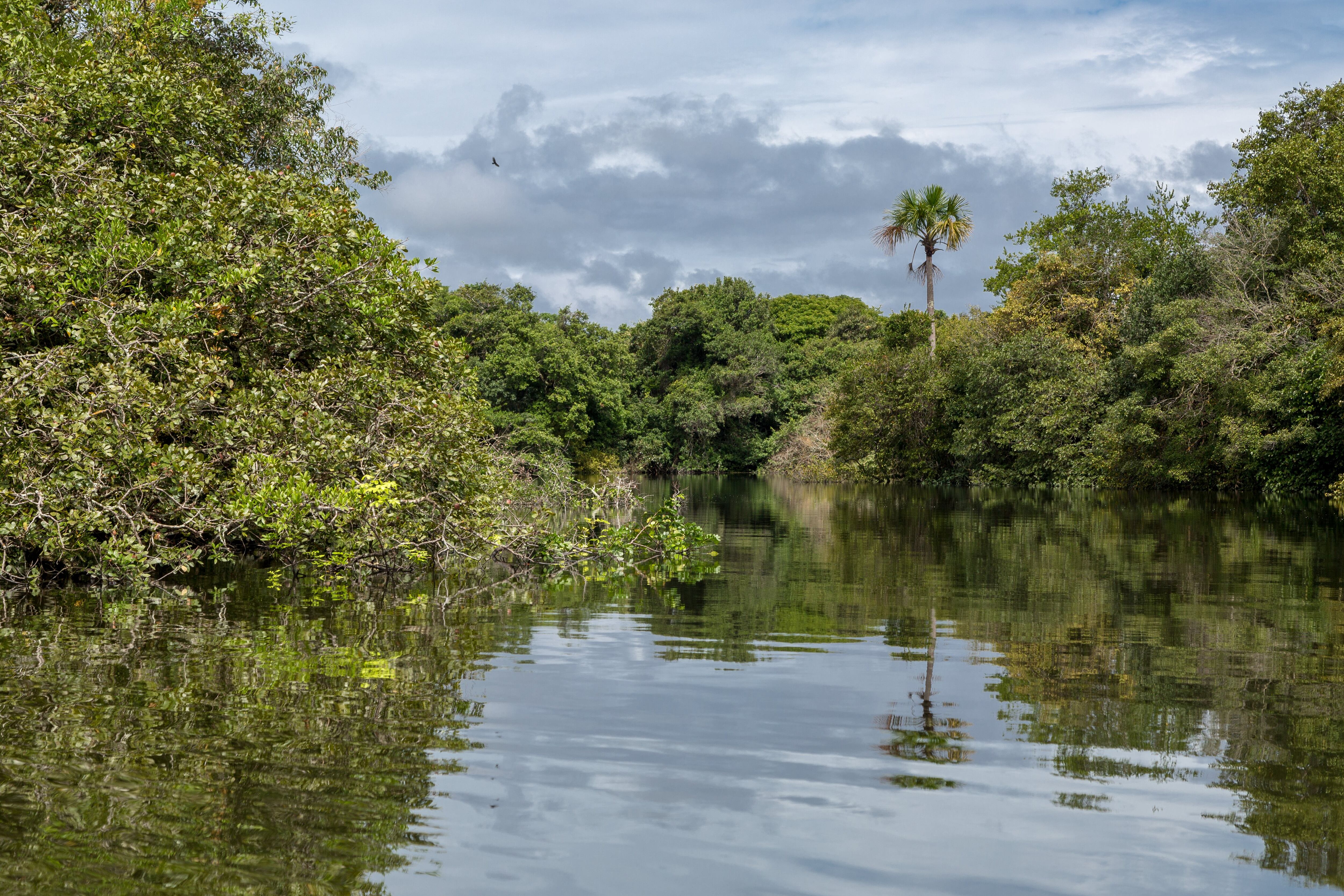 El río Orinoco es una de las fuentes de agua más importantes del país.