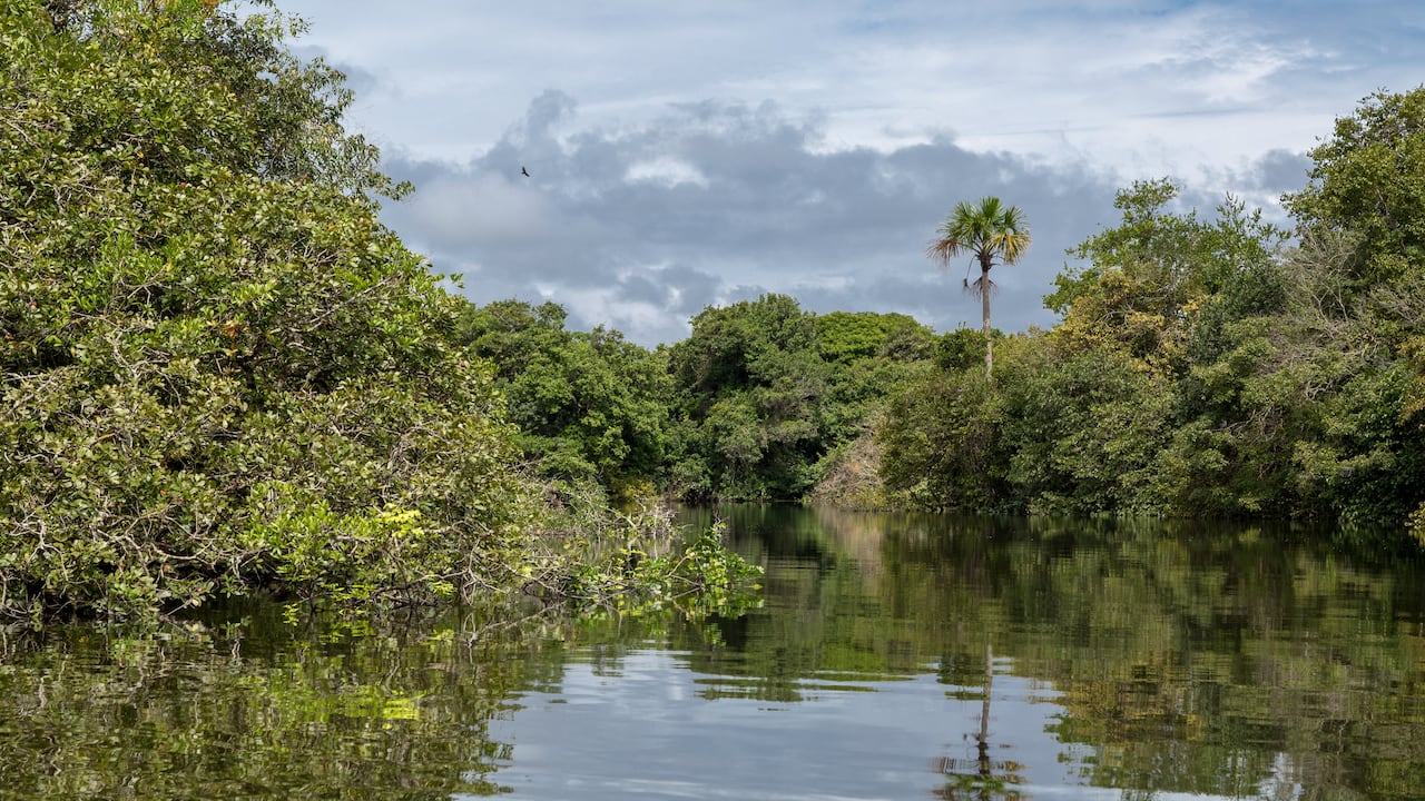 El río Orinoco es una de las fuentes de agua más importantes del país.