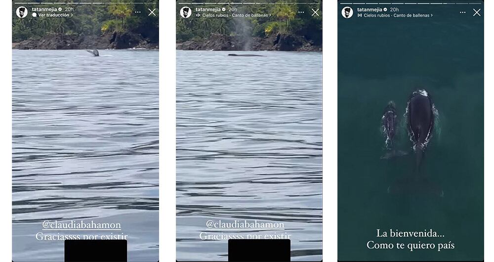Tatán Mejía, viaje a Nuquí, Chocó - Captura de pantalla @tatanmejia