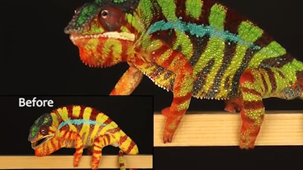 Todos coinciden en que se trata de la más perfecta ilusión óptica de la naturaleza.