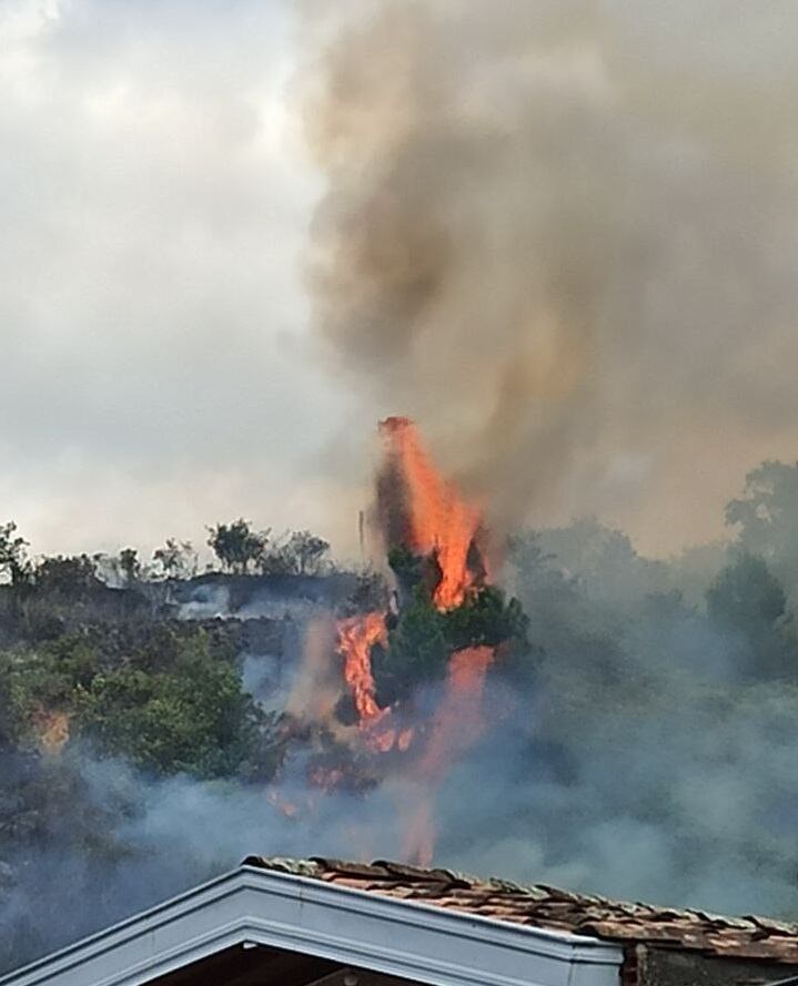 Se desconocen las causas de la conflagración