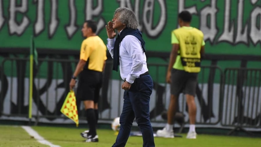 Alberto Gamero, técnico del Deportivo Cali.