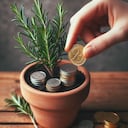 Enterrar monedas junto a planta de romero.