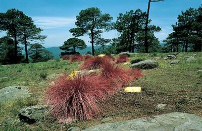 Lourdes Grobet (México) http://fotomuseo.org/fotografica_2013 