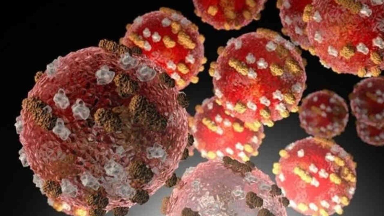 El sarmpión, el dengue y el covid-19 son causadas por virus y presentan síntomas similares.