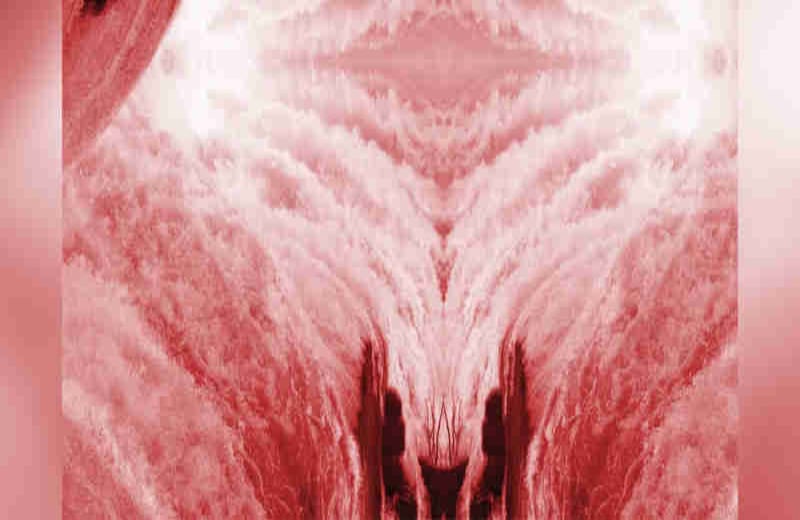 Muchos clítoris - Carolina Caycedo.