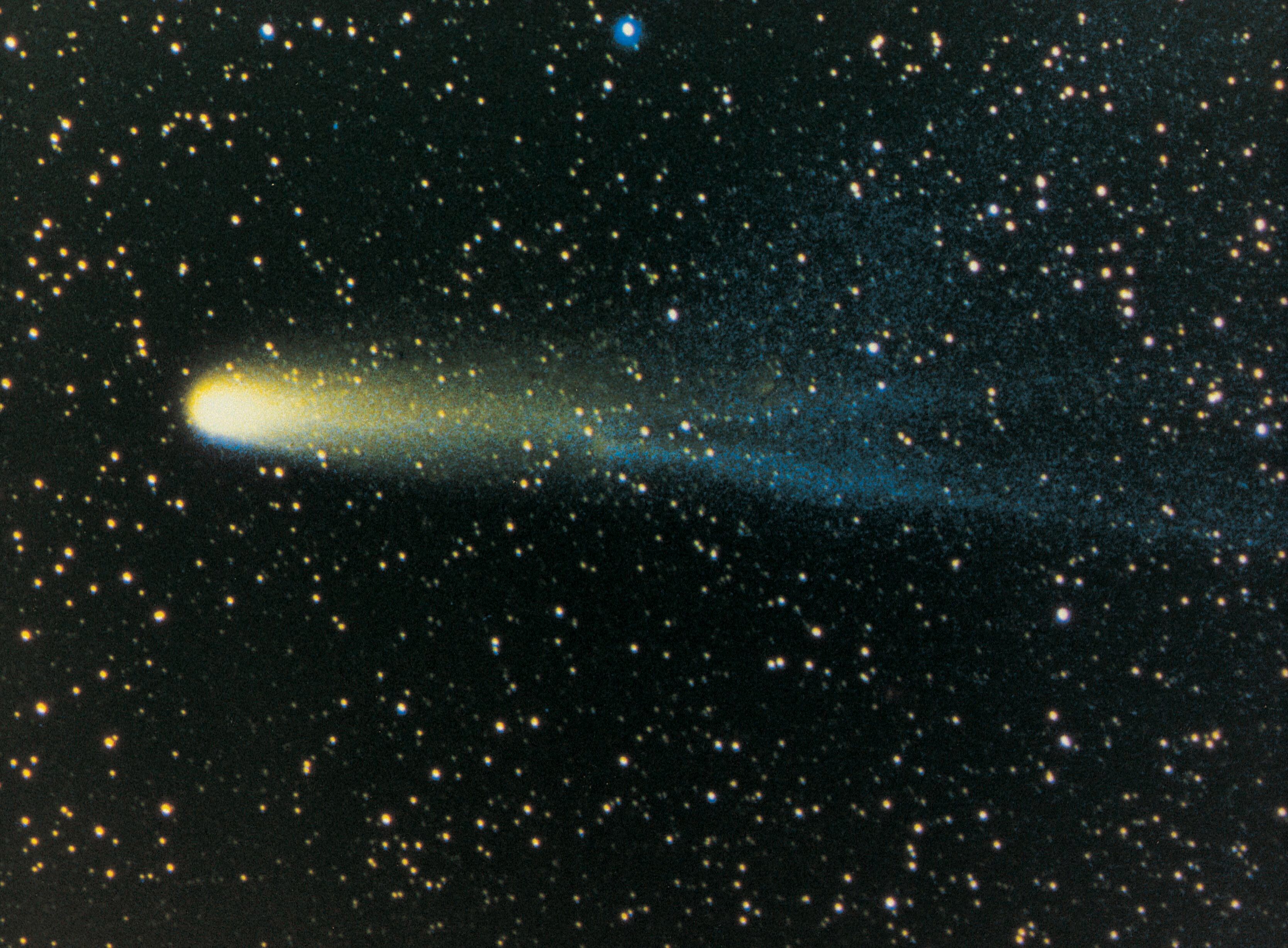 Cometa Halley