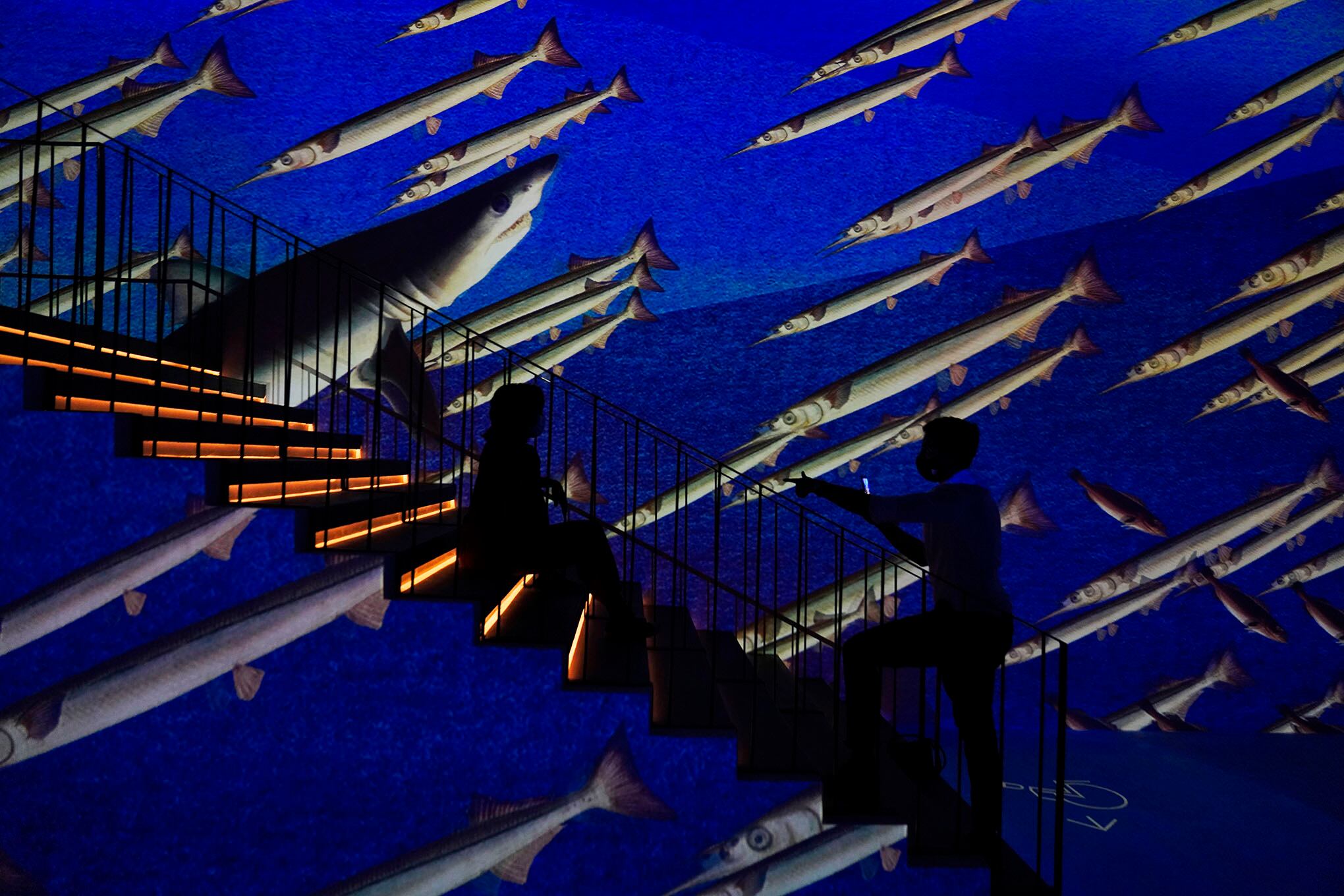 Galería de la semana