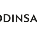 Logo de Odinsa