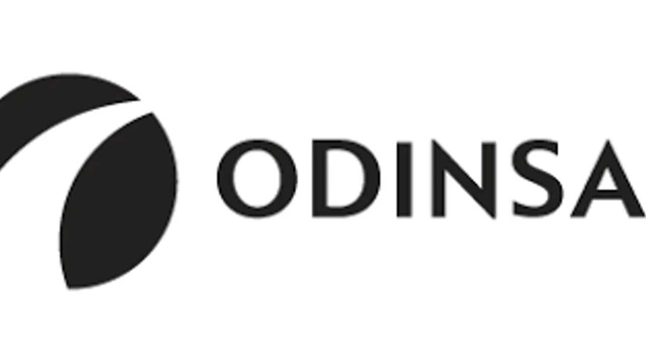 Logo de Odinsa