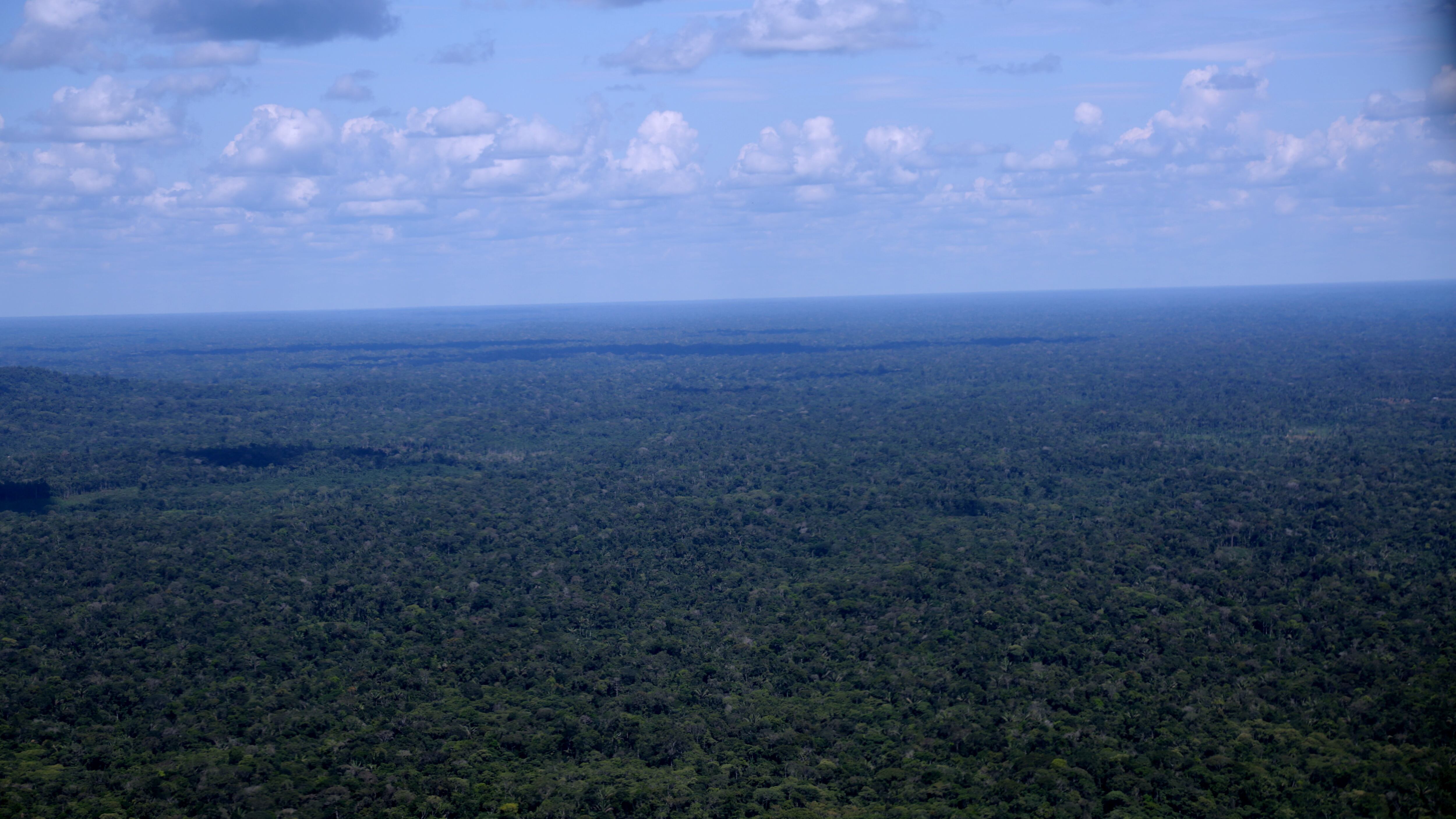 Naturamazonas, una alianza que transforma la vida de las comunidades del Putumayo, Cauca y Caquetá