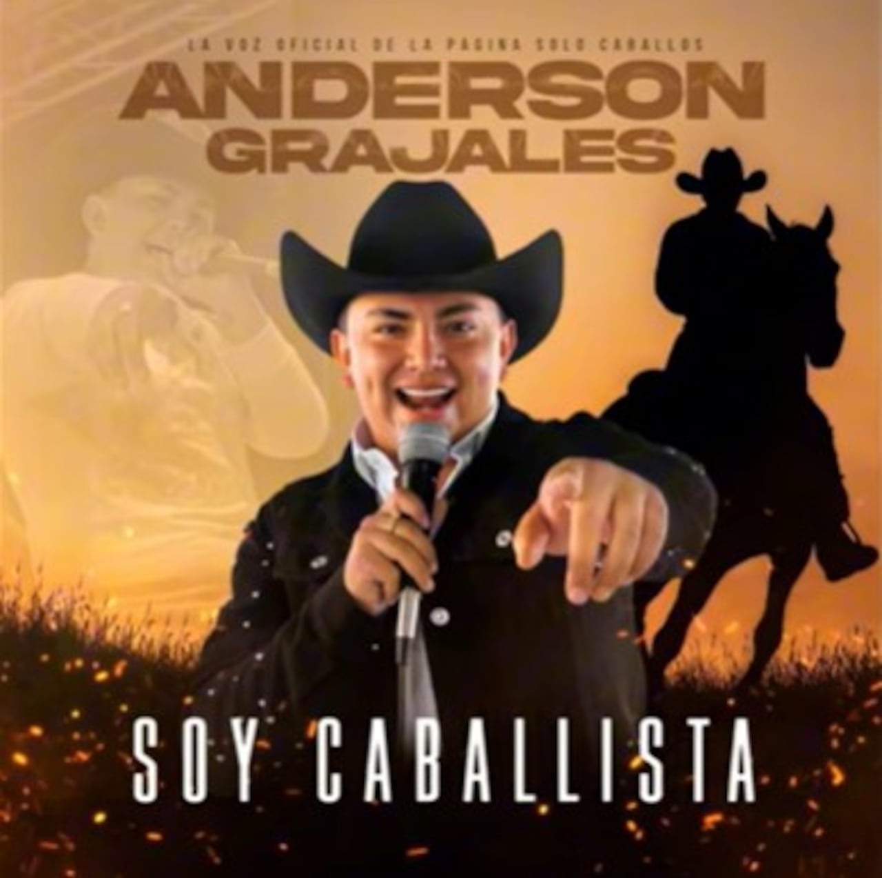 Fueron 14 las personas entre funcionarios y exfuncionarios de la Armada Nacional, los capturados en el llamado Cartel de la Armada.