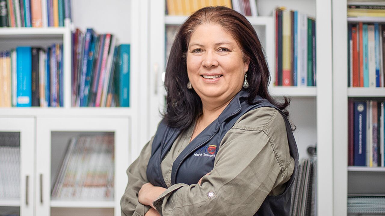 Alejandra Barrios, directora de la Misión de Observación Electoral (MOE).
