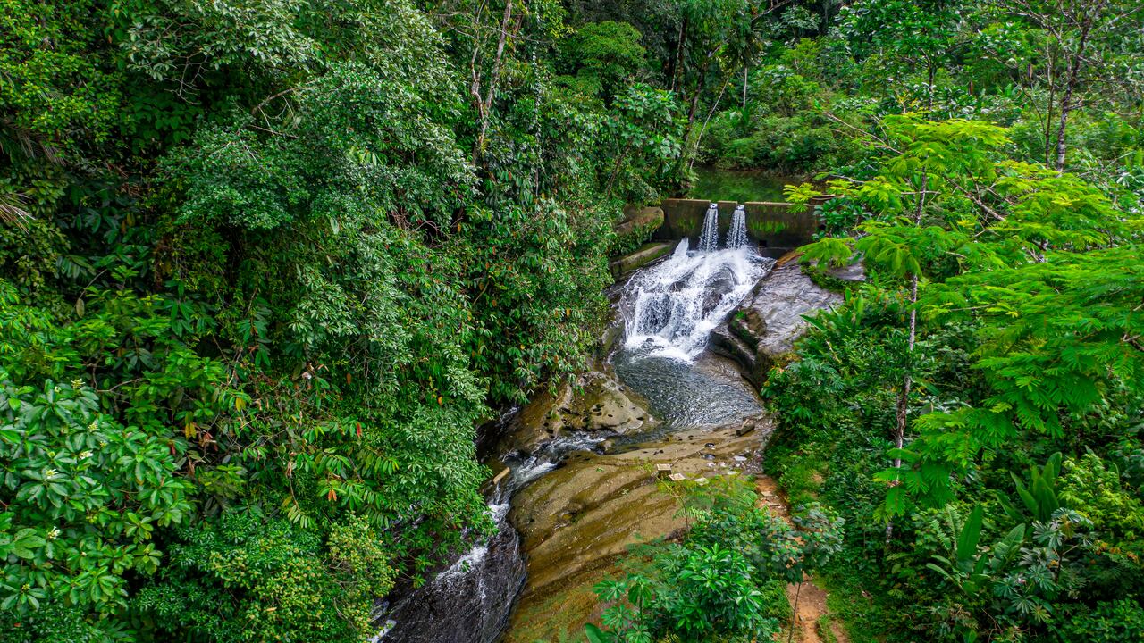 El corregimiento de Tutunendo, en Quibdó, es el segundo lugar del mundo donde más llueve.