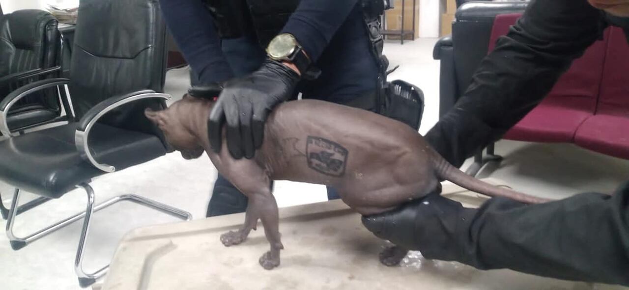 Tatuaje