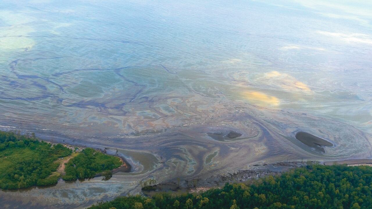 A pesar de los enormes esfuerzos por contener el derrame, el crudo llegó al mar. Al cierre de esta edición había contaminado iez kilometros sobre la costa. El daño puede crecer y ya se sabe que será irreparable.