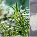 Ritual de alumbre y romero para la prosperidad en la casa