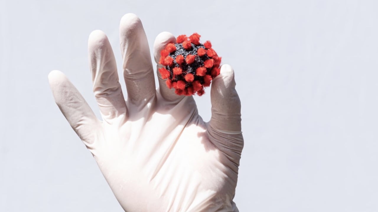 En un futuro podría haber un virus más letal que el covid-19