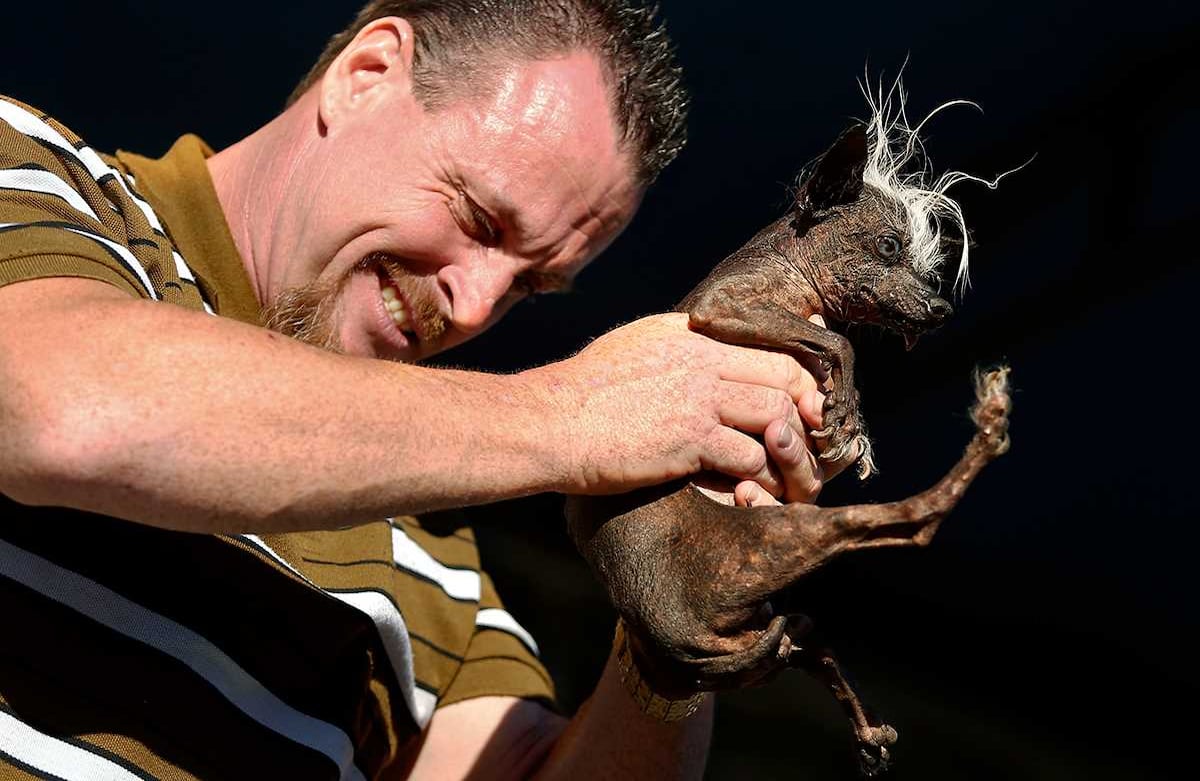 Alvin Jornada /The Press Democrat via AP