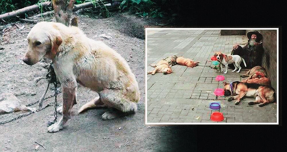 Con corte al 30 de abril, se efectuaron 1.383 visitas por maltrato. 