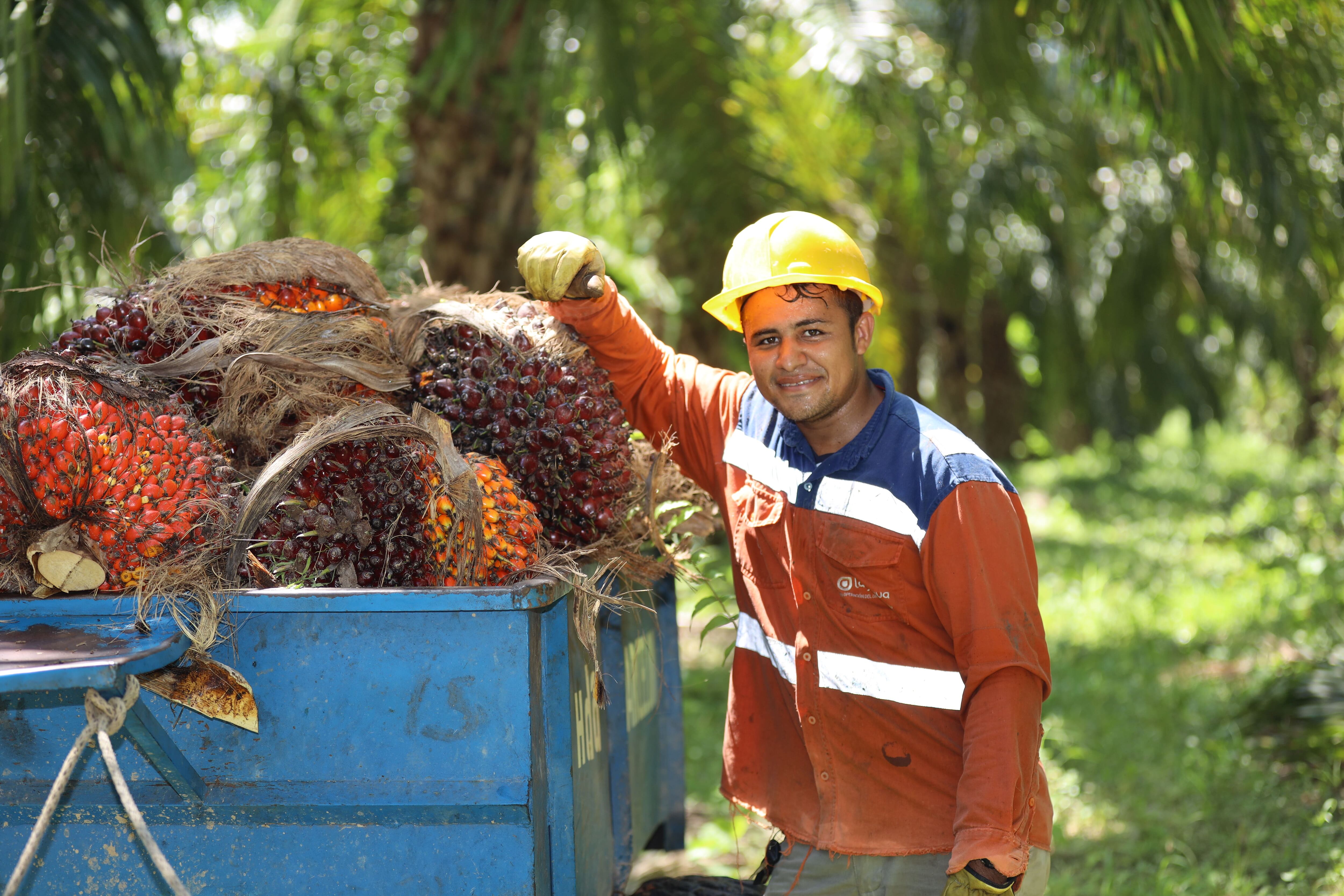 En los últimos doce meses la producción llegó a 1,8 millones de toneladas