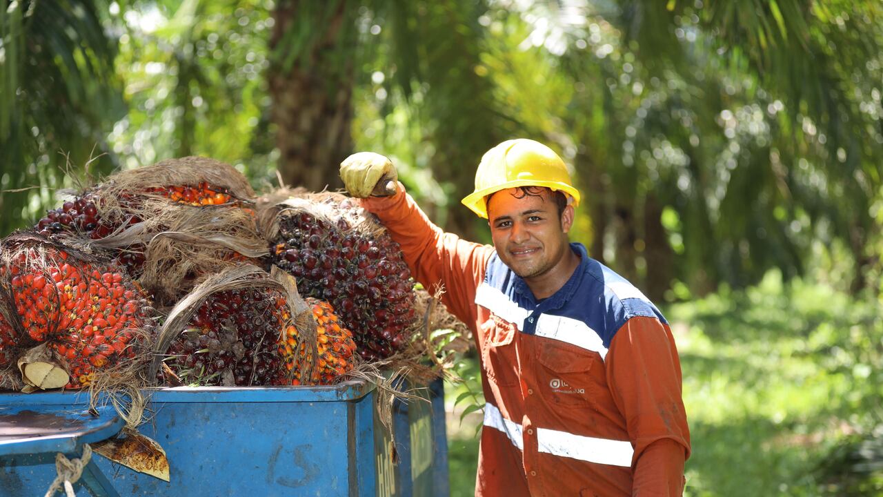 En los últimos doce meses la producción llegó a 1,8 millones de toneladas