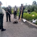 El reptil fue encontrado en la vereda Casablanca por un campesino.