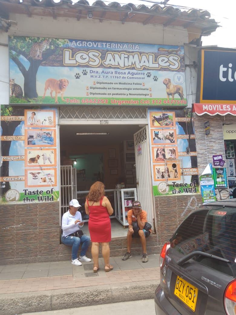 El dueño de la mascota inicialmente fue atropellado y luego agredido.