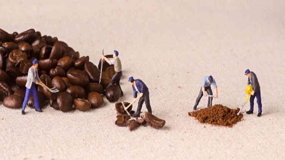 Plan Nescafé: una apuesta ambiciosa por los caficultores de Colombia