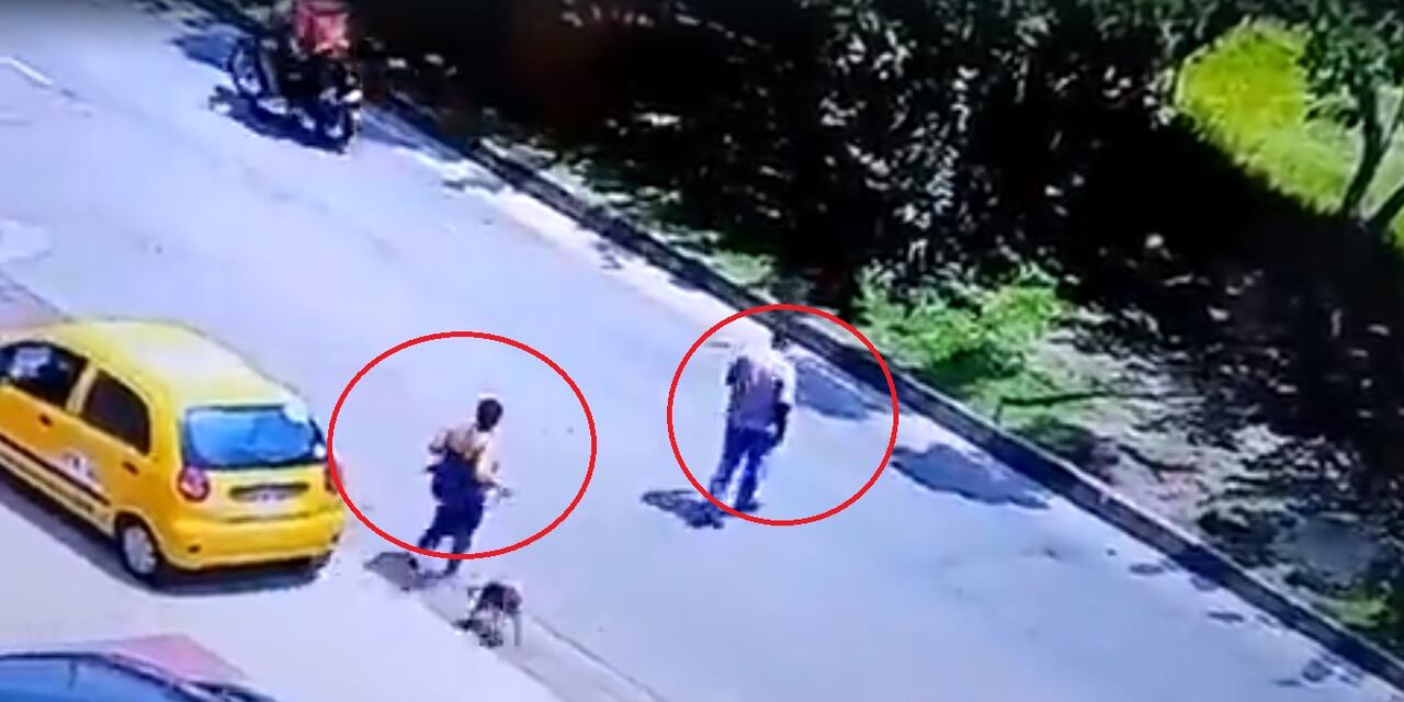 Perro fue abandonado en el Centro de Bienestar Animal de Cali.