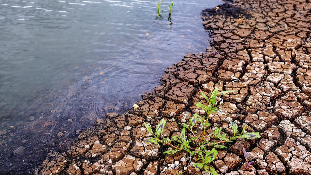 El fenómeno de El Niño afecta a varias regiones del país.