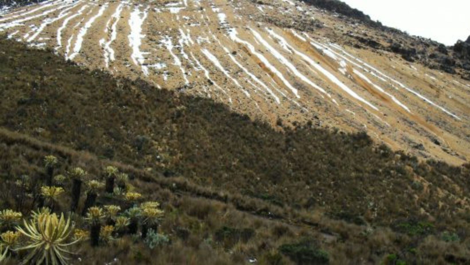 Precio de entrada al Parque Nacional Natural Los Nevados: requisitos y recomendaciones para disfrutar sus atractivos ecoturísticos