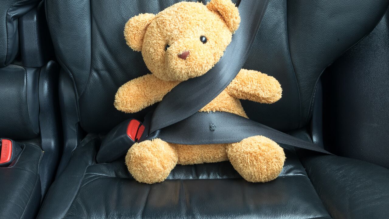 Osito de peluche atado al asiento trasero de un coche