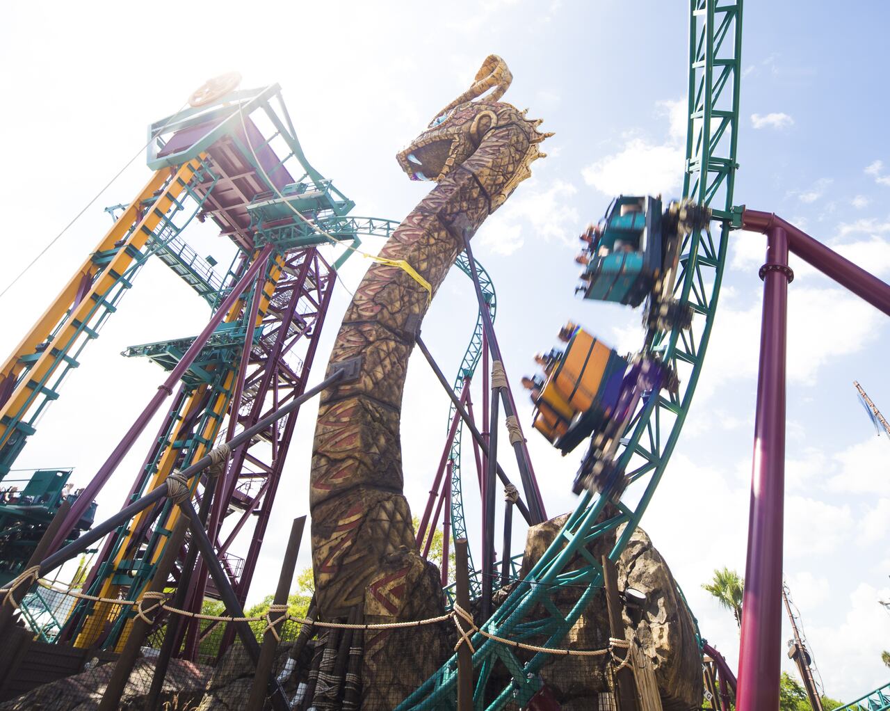Cobra's Curse, montaña rusa de Busch Gardens Tampa Bay, de United Parks and Resorts (Florida, Estados Unidos):