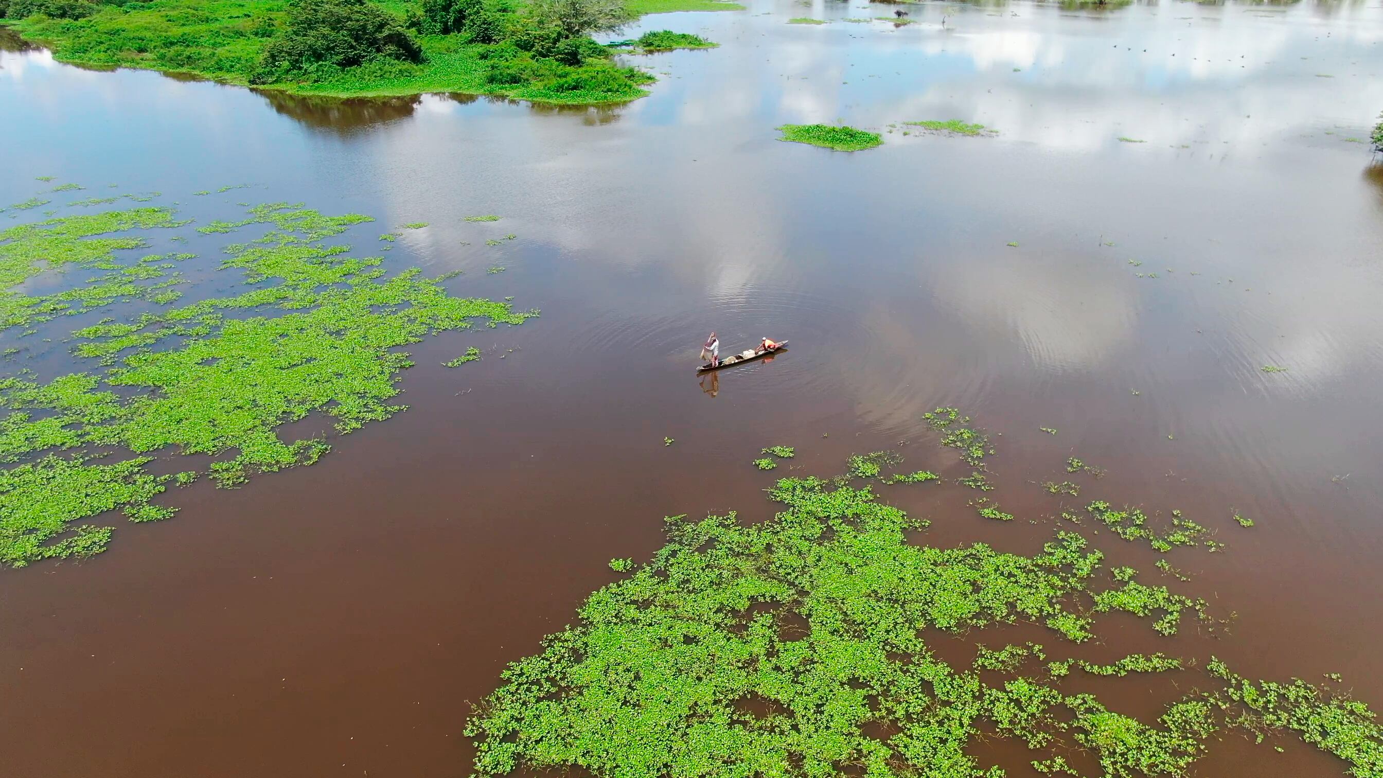 Contaminación ambiental