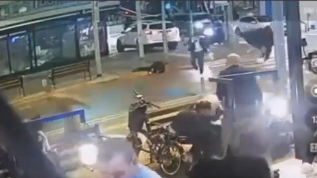 Al menos tres personas resultaron heridas, una de ellas en estado crítico, tras un ataque con arma de fuego registrado este jueves en las calles de la ciudad de Tel Aviv, en el oeste de Israel.