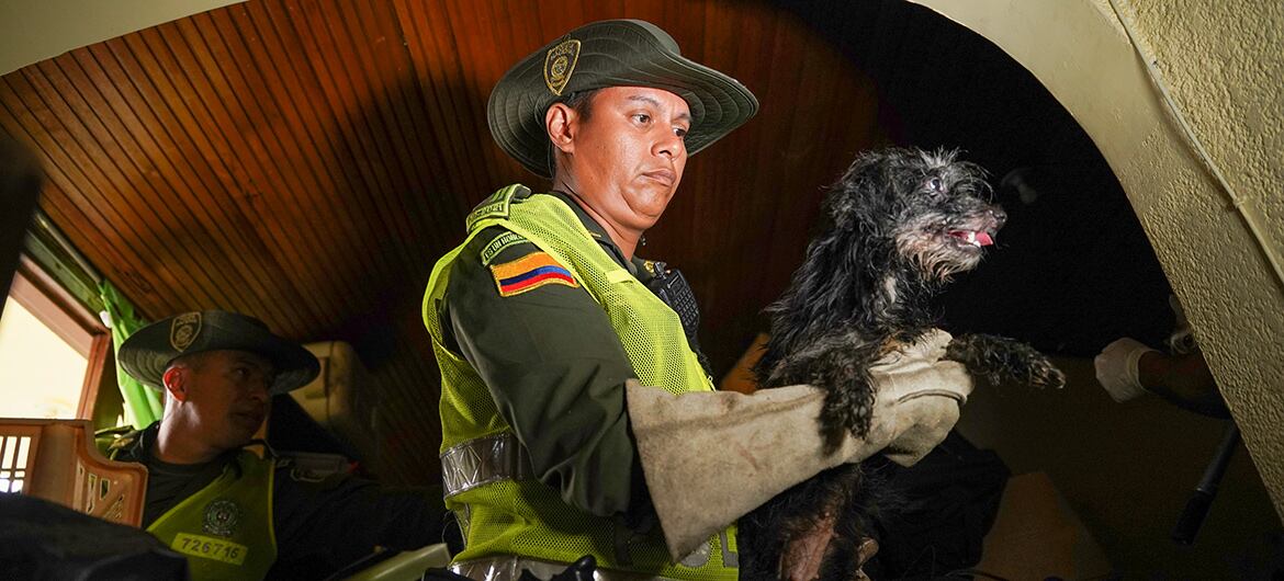Fue capturada una mujer que mantenía encerrados a perros y gatos sin comida y sin agua en una casa del norte de Cali.