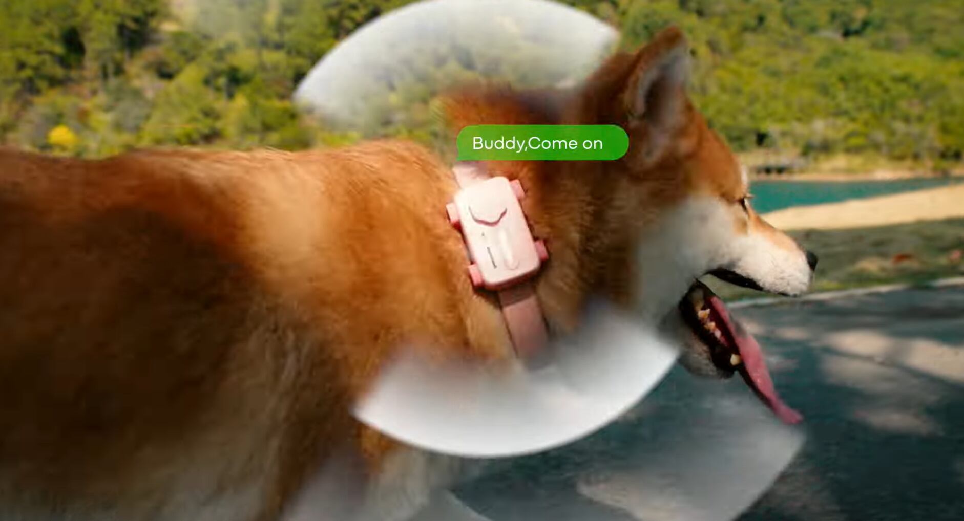 PetPhone permite a los dueños hablar con sus mascotas a través de un dispositivo que detecta y responde a sus interacciones.