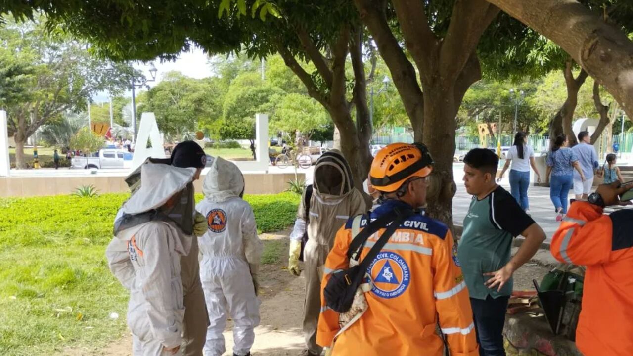 Defensa Civil y Bomberos de Valledupar atendiendo casos de abejas africanas.