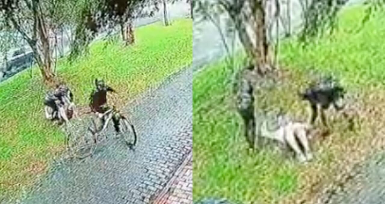 Ladrones en Bogotá
