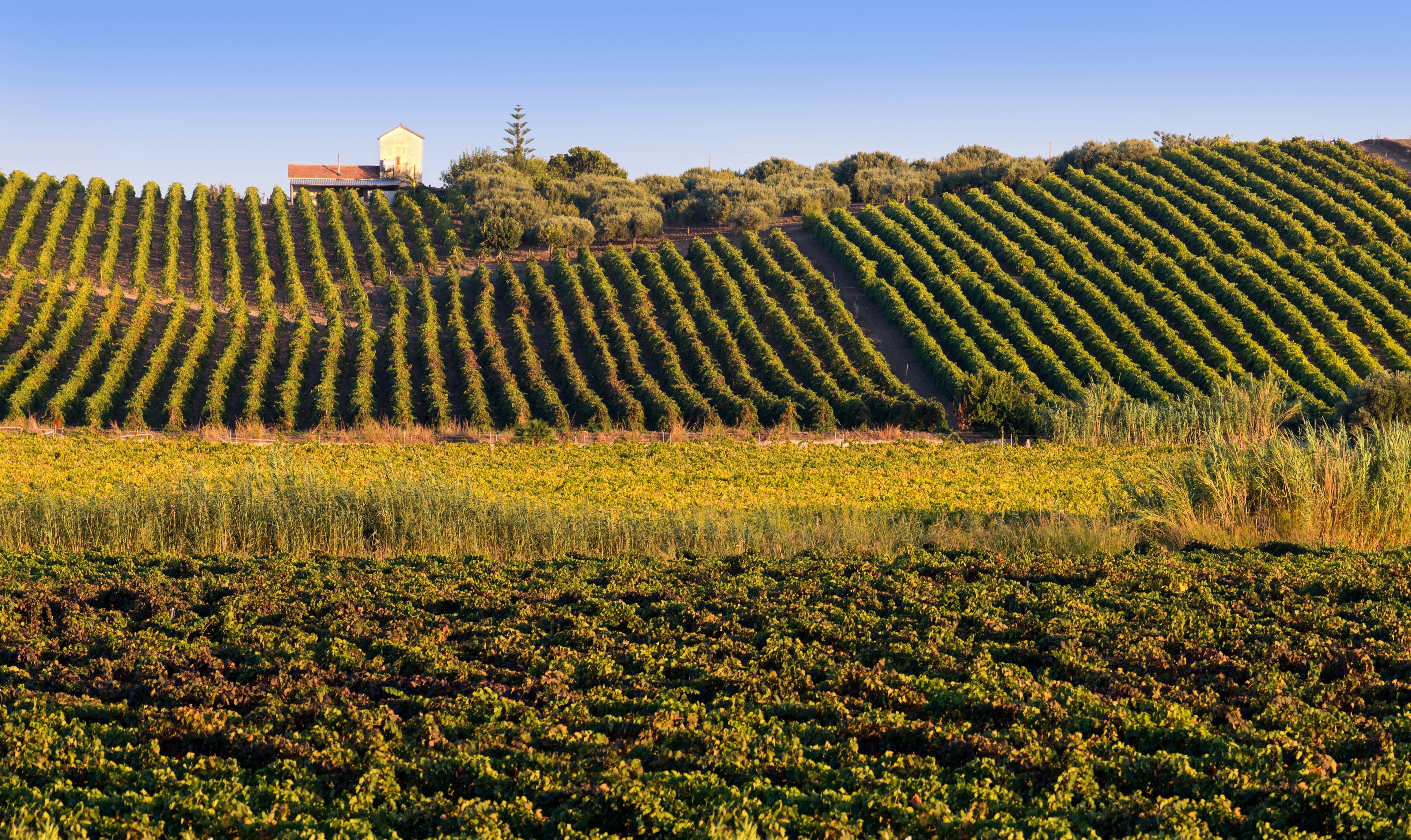 Easter In Sambuca Di Sicilia
