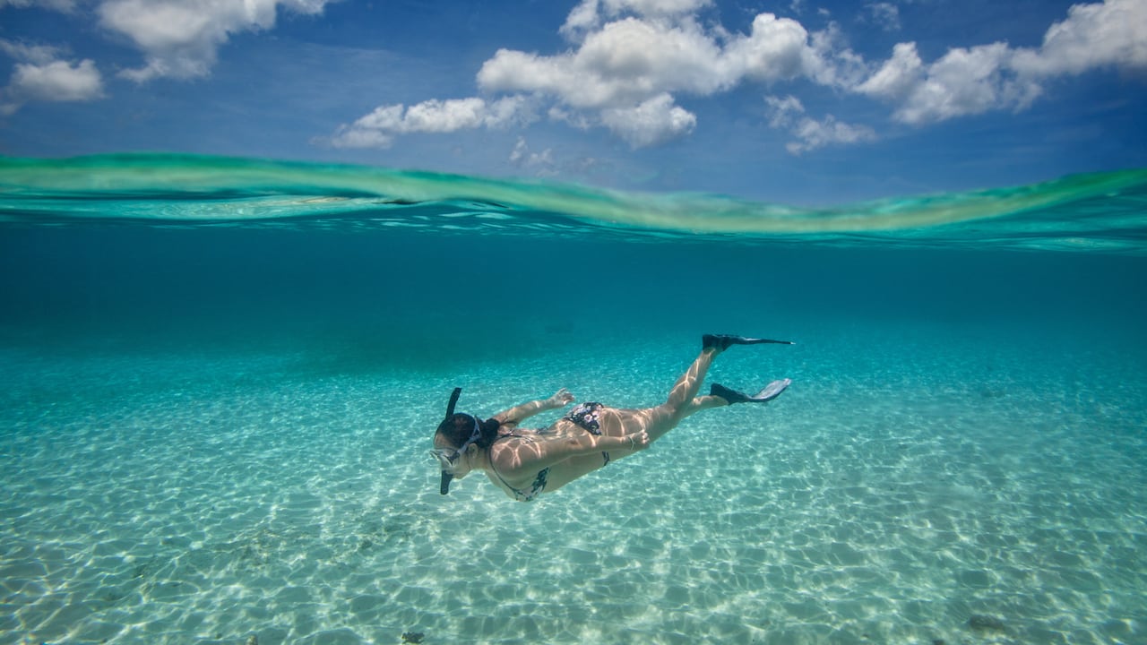 Mujer haciendo snorkel en las aguas cristalinas de la isla de Cozumel en México.