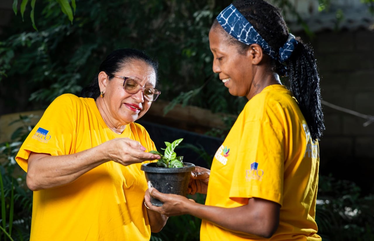El equipo de la Fundación está presente en los territorios durante la mayor parte del año. Esa permanencia permitió crear un Índice de Transformación Social que mide avances desde una línea base y orienta las decisiones.